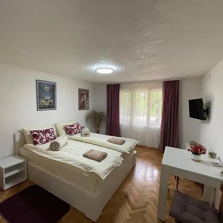 Apartmani Stankovic Sokobanja Exterior photo
